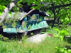 Blíže nespecifikovaný obrázek