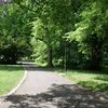 park