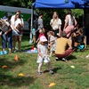 zámek fest