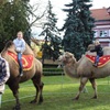 Blíže nespecifikovaný obrázek