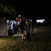 zámek fest