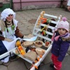 Blíže nespecifikovaný obrázek